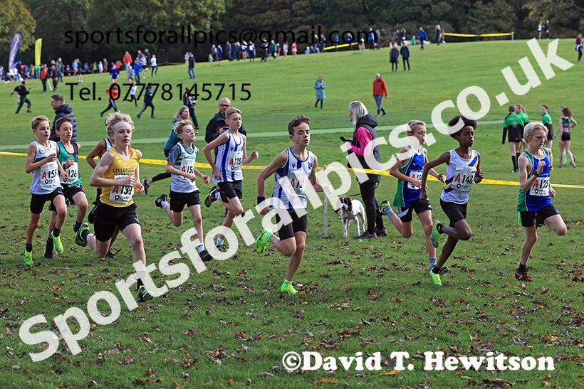 Boys under-13s, 2024 Northern Cross Country Relays, Graves Park, Sheffield.   Photo: David T. Hewitson/Sports for All Pics